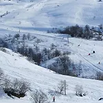Edelweiss17
